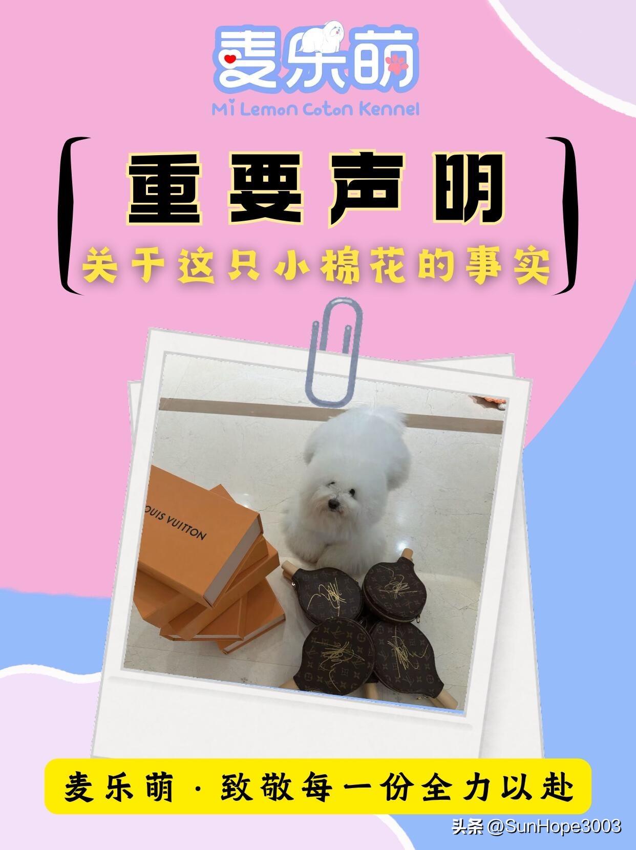 麦乐萌品牌辟谣关于王楚钦的谣言，评论区清一色的“支持维权，拒绝造谣”

某些人在