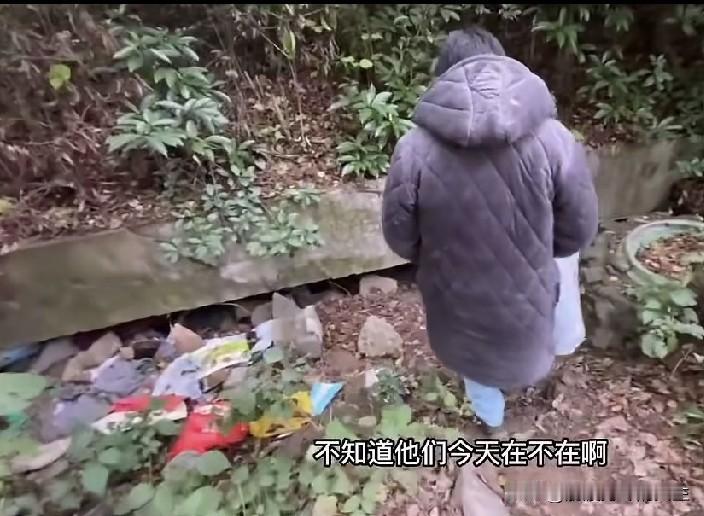 经常看到桥洞里住着不少生活落魄的人，心里一直有个疑问，他们到底是在外务工舍不得花