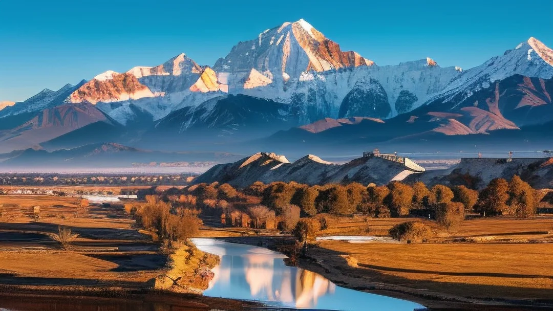 《顶流的团宠妹妹回来了》