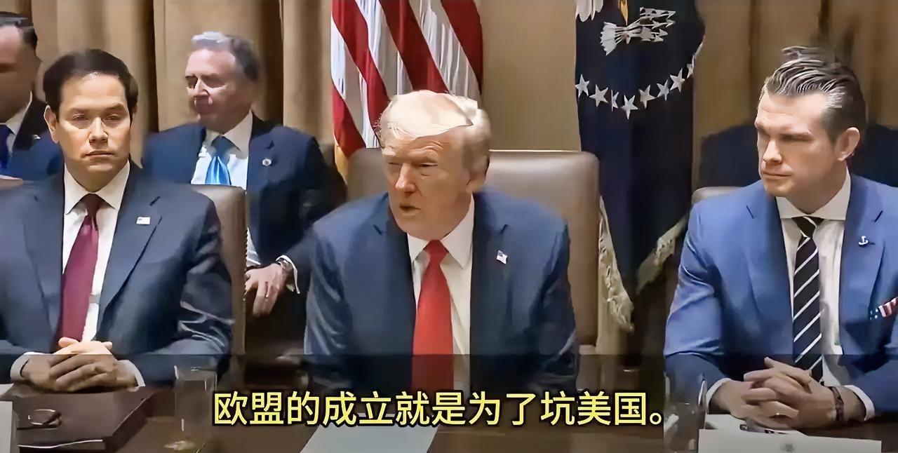 特朗普:欧盟成立的目的就是为了坑美国，坦白说他们坑得不错，但现在我是总统了。记者