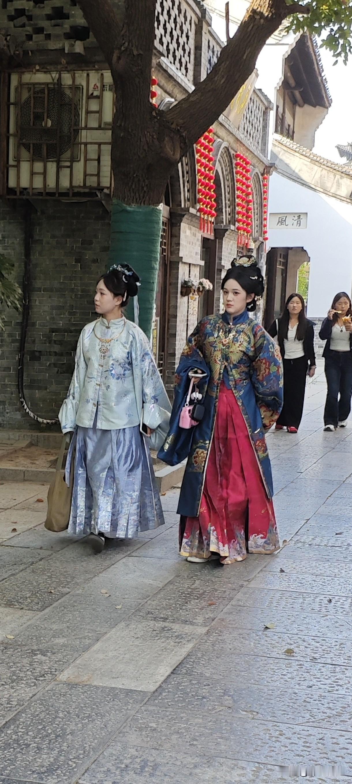 发一张你相册最近拍的花偶尔拍到貌美如花，这个算花吗？[比心][呲牙]