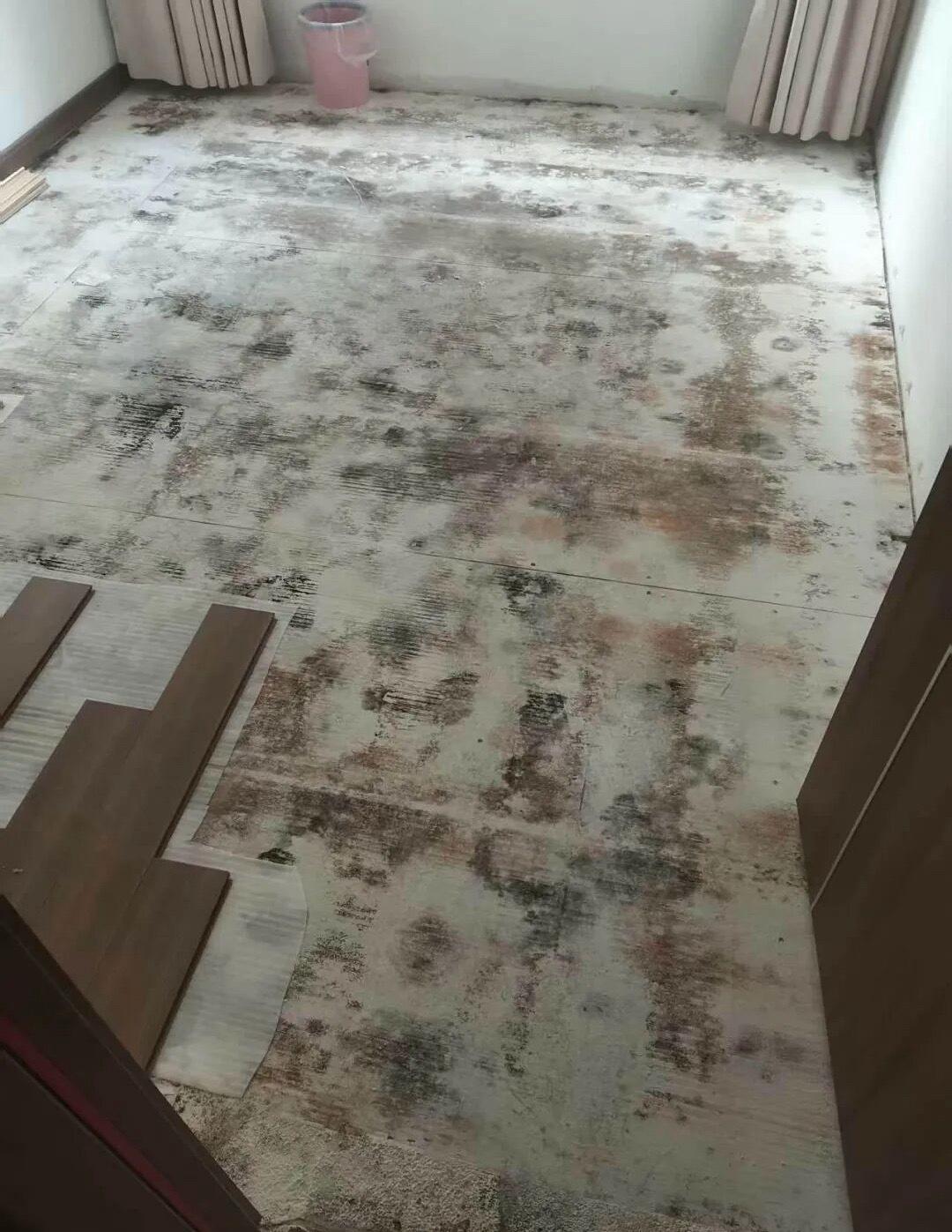 百万精装房变霉菌房，3岁孩子确诊肺炎，精装变“惊装”太痛心
 
百万精装房本该安