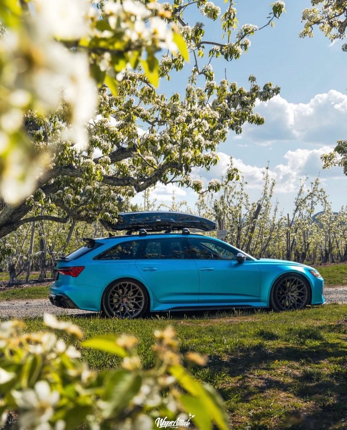 WagonAttitude® ❷⓿❷➎ ⁹′²⁵ ☀️风吹哪页读哪页·花开何时看