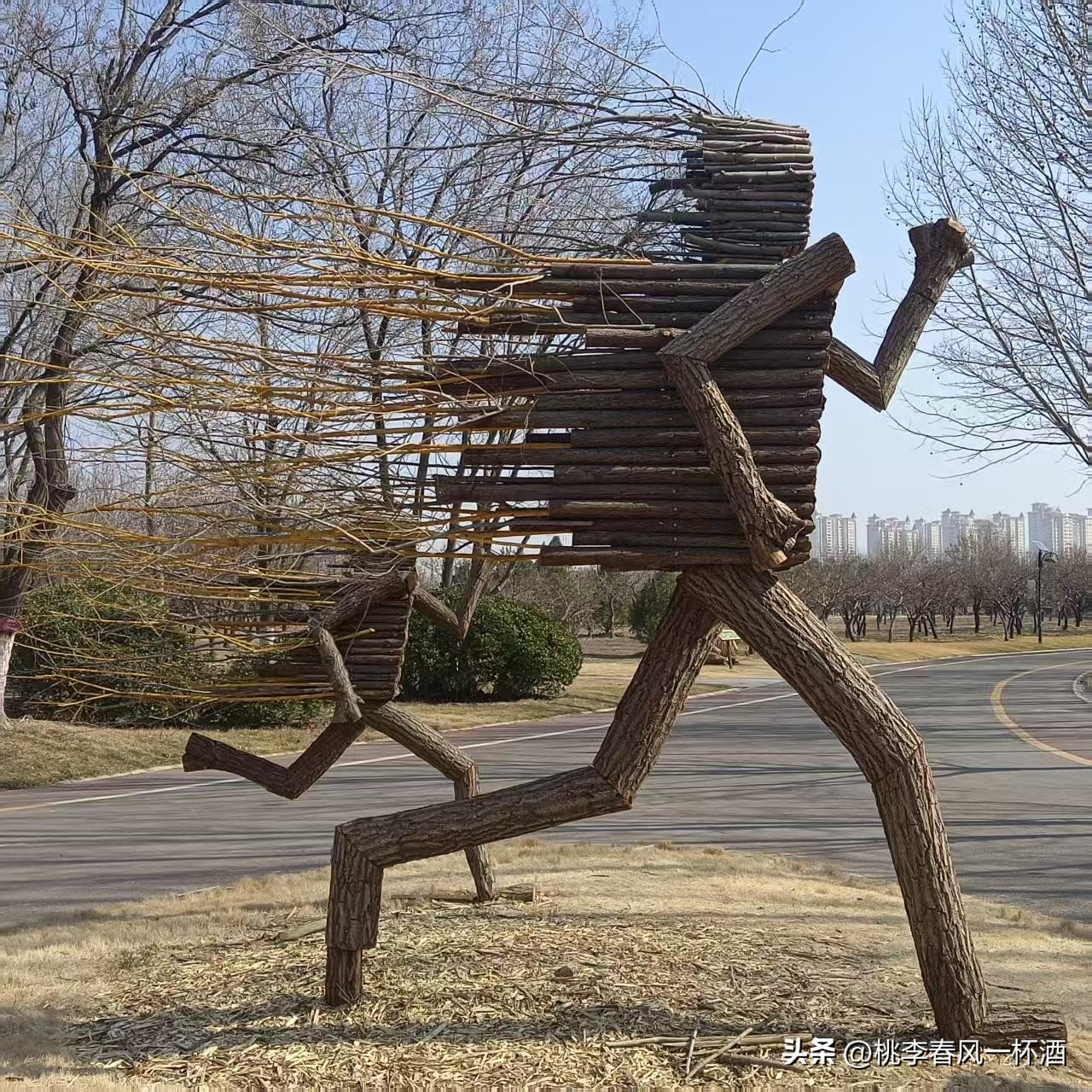 图说东营:植物园生态创意:逐光。
作品以最质朴的园林“废料”，捕捉弃跑中阙时的光