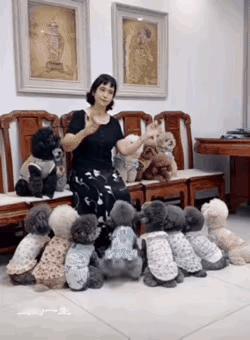 一个女人养十几条小泰迪狗，在屋里又唱又跳，小狗跟着翩翩起舞，神经兮兮的。

这