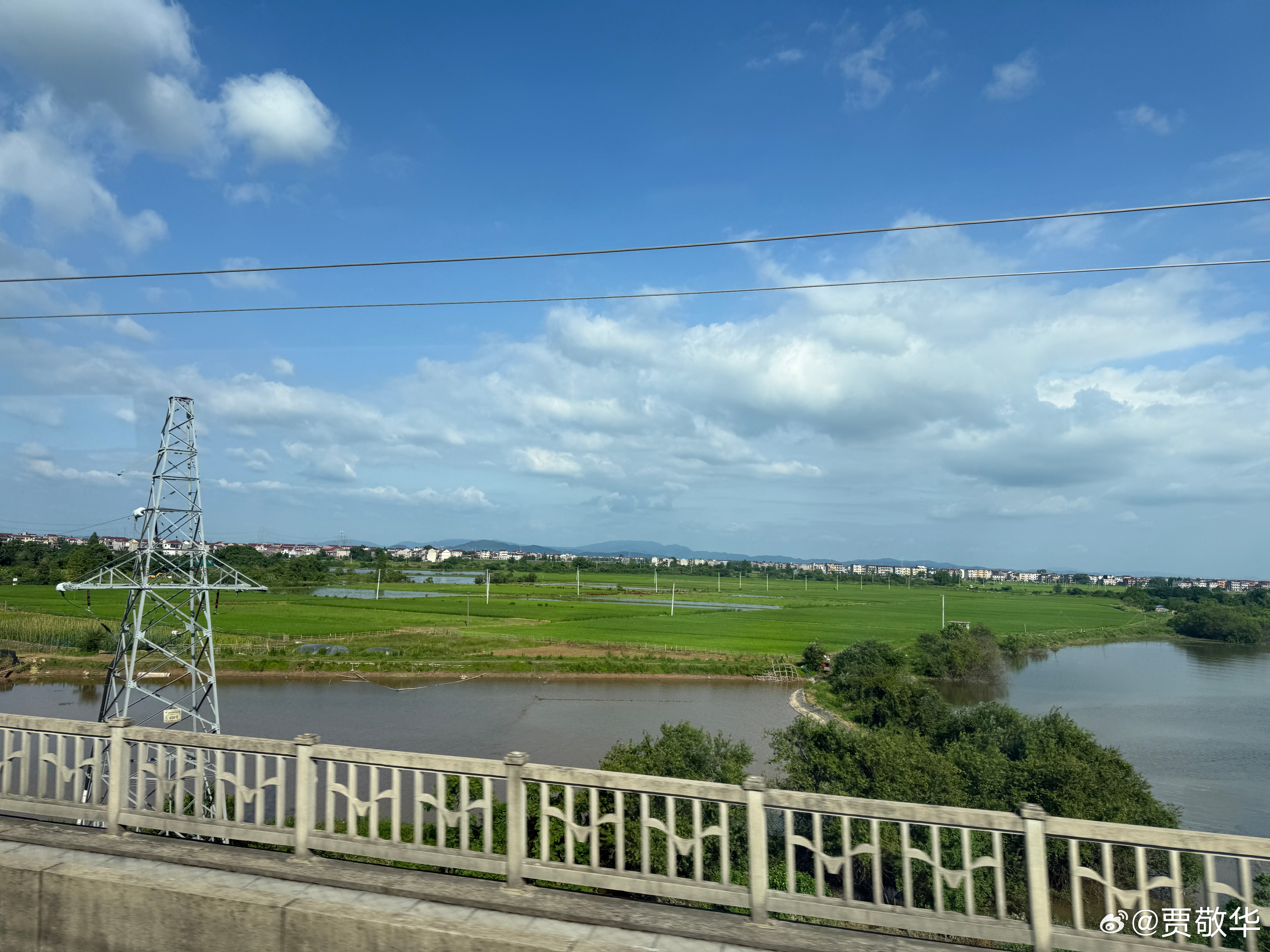 #每天早起打卡# 昨天晚上雷声阵阵，本来以为会下大雨，结果干打雷 不下雨。起床，
