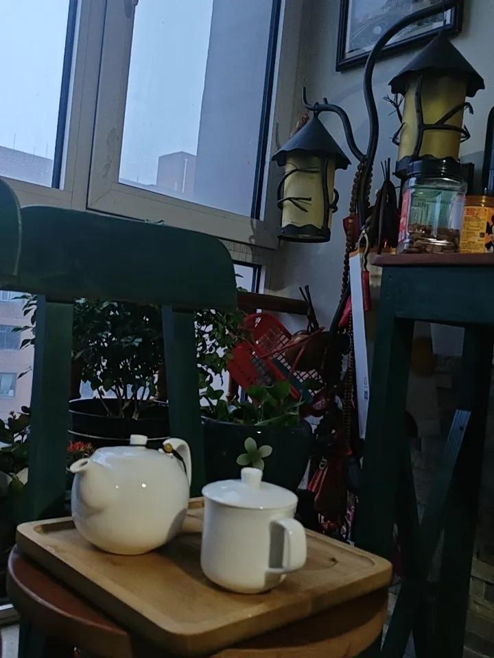 严冬的日子，我懒得出门，
茶和书是我最好的朋友。
看着书，喝着热乎乎的茶，
心里