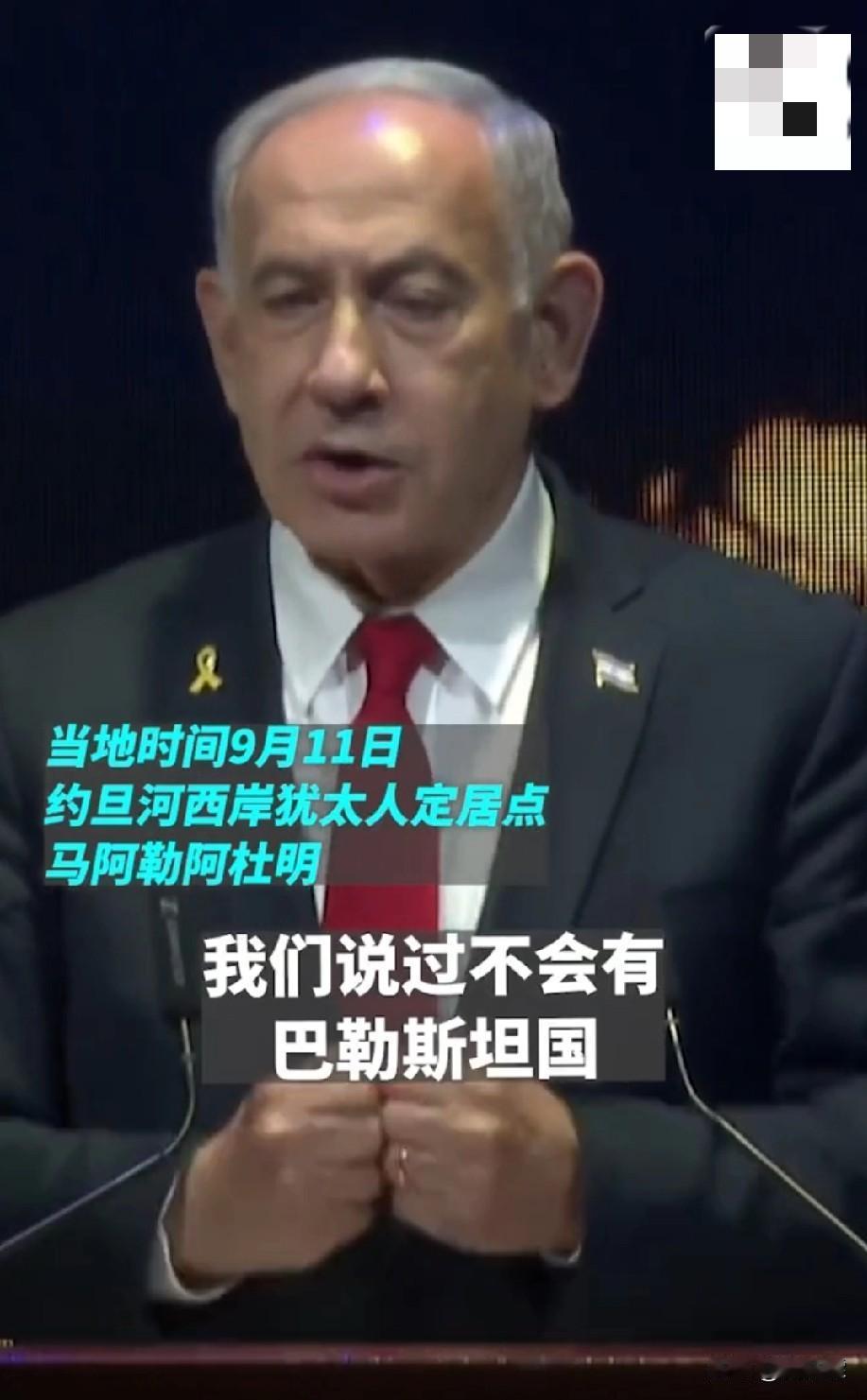 山中无老虎，野狼称霸王，内塔尼亚胡，这只狐狸还真是艺高人胆大。

不但敢在72小