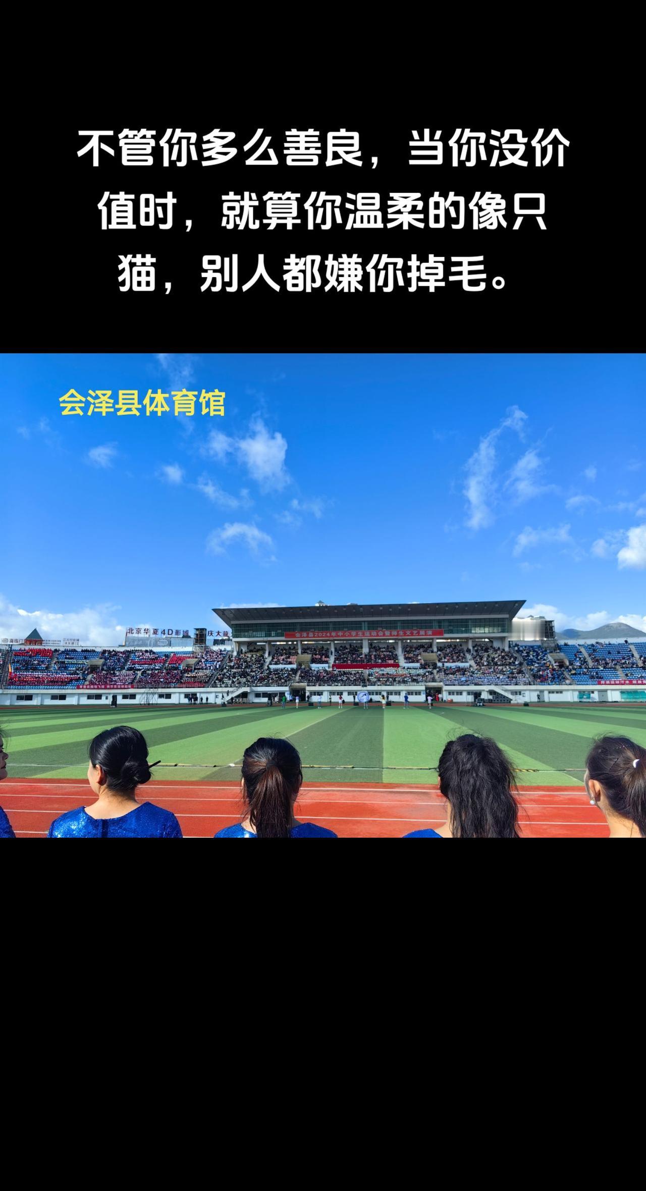 不管你多么善良，当你没价值时，就算你温柔的像只猫，别人都嫌你掉毛。