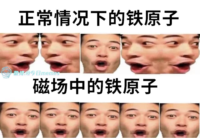 全体都有（9gag）今日meme今日memes