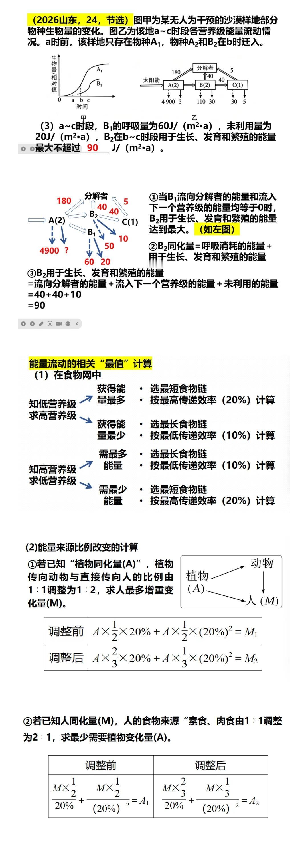能量流动的最值计算——关于2026山东高考24题的讨论