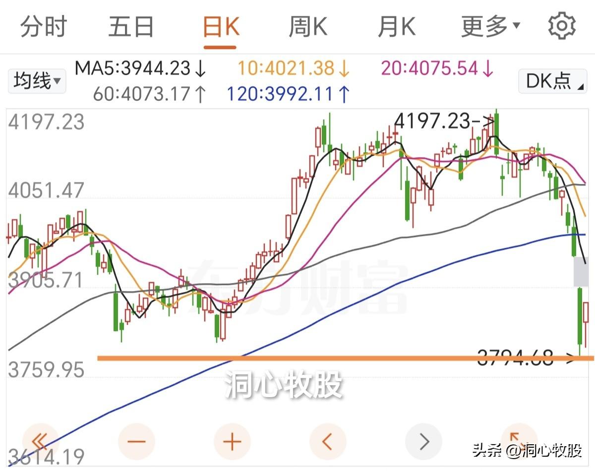 今天终于反弹了，三大指数收阳，5136家个股上涨，只有329家个股下跌，全面反弹