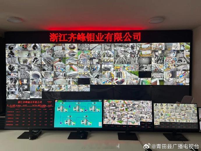 丽水青田组团发展激活生态工业二季度过半，青田县工业企业紧抓市场订单、扩充产能规模