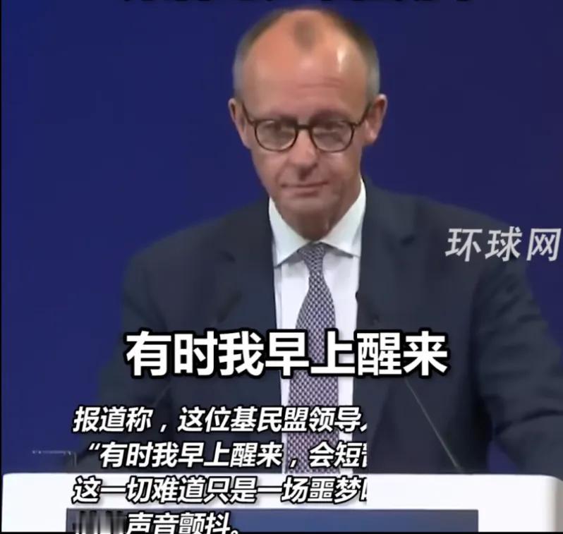 在德乌经济论坛上，
德国总理默茨又哭了，
然而他哭不是因为乌克兰太惨，而是可能再