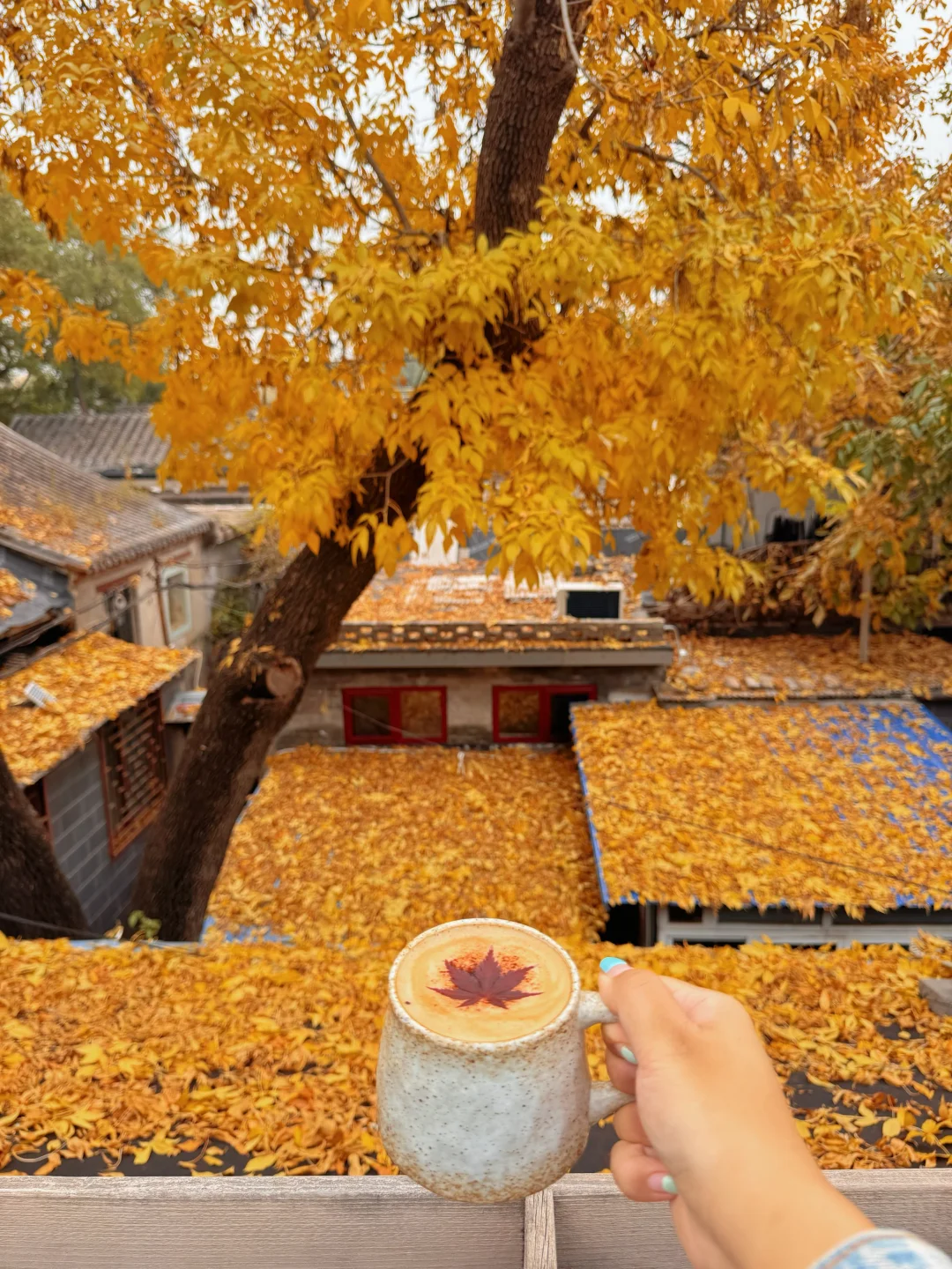 北京秋天🍁那些你一定不能错过的漂亮店☕️