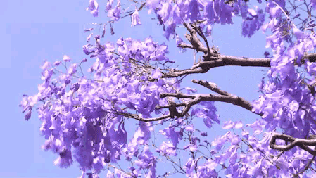 不服来辩！昆明全球第15名凭什么？这三个字让曼谷新加坡都沉默！

你以为“春城”