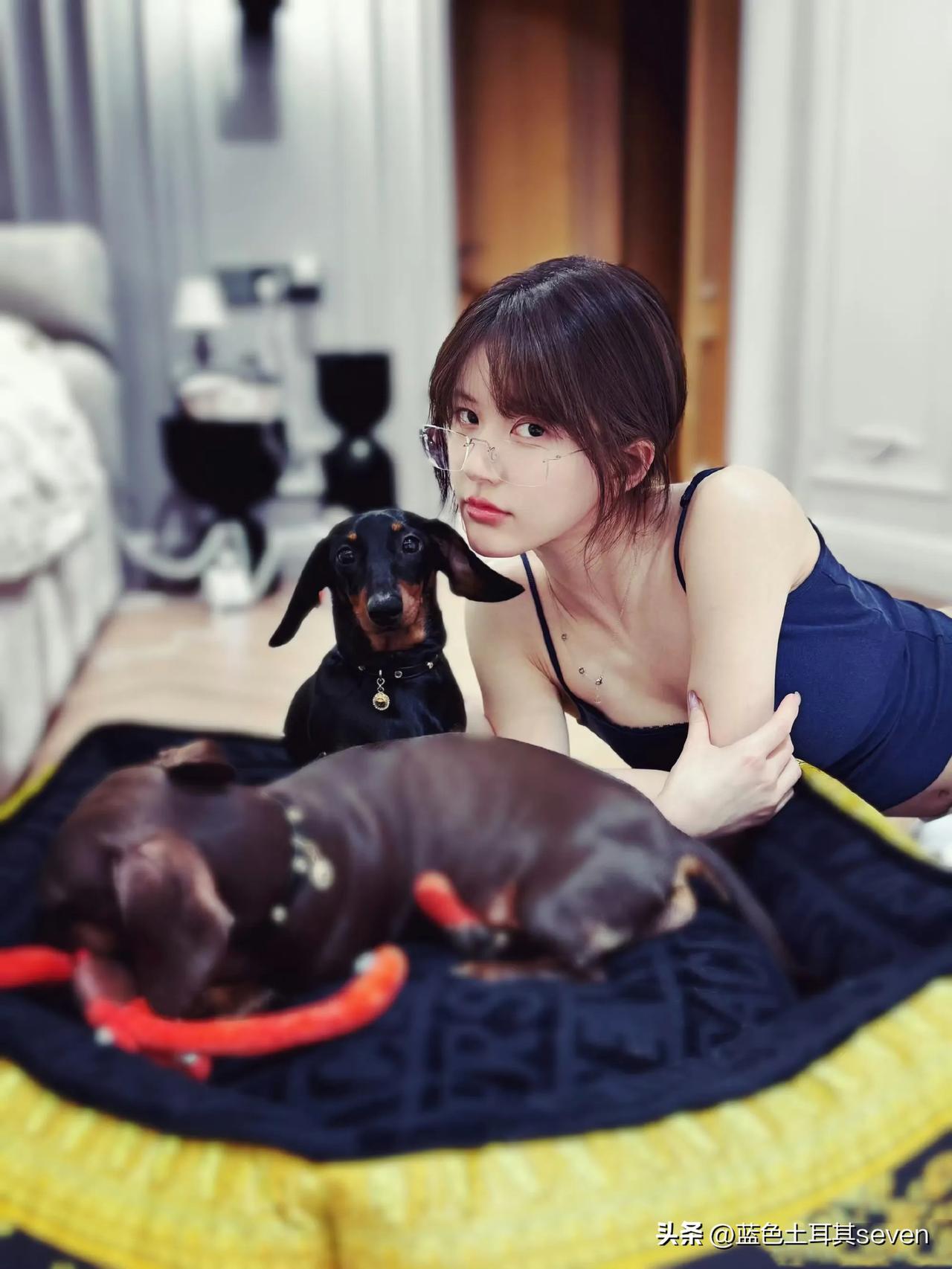 赵露思慵懒午后，与爱犬共度温馨时光