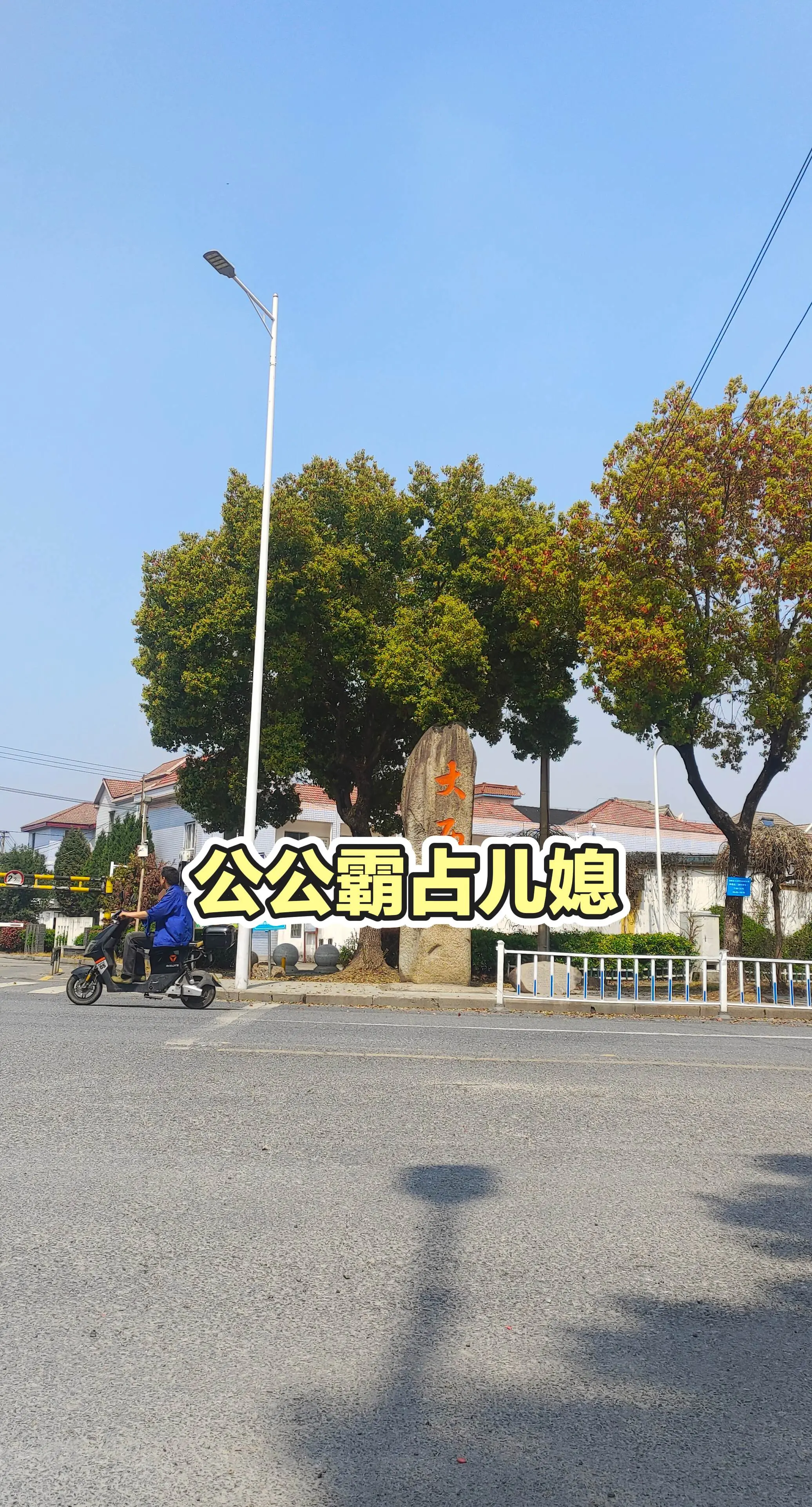 每日分享