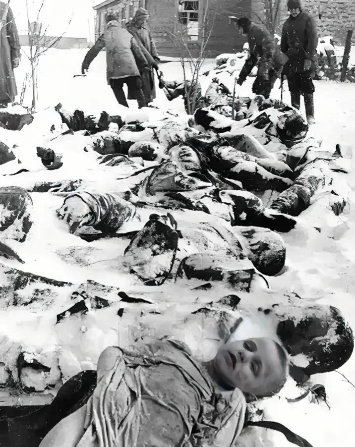 1942年，苏联境内，被纳粹屠杀的无辜妇女和儿童，镜头中一片冰封大地上，躺满了尸