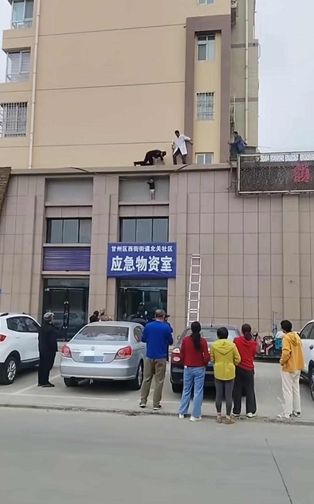 真不知道这个穿着尿不湿的小娃娃，是怎么到那个位置的！

张掖这个小家伙挺聪明，也
