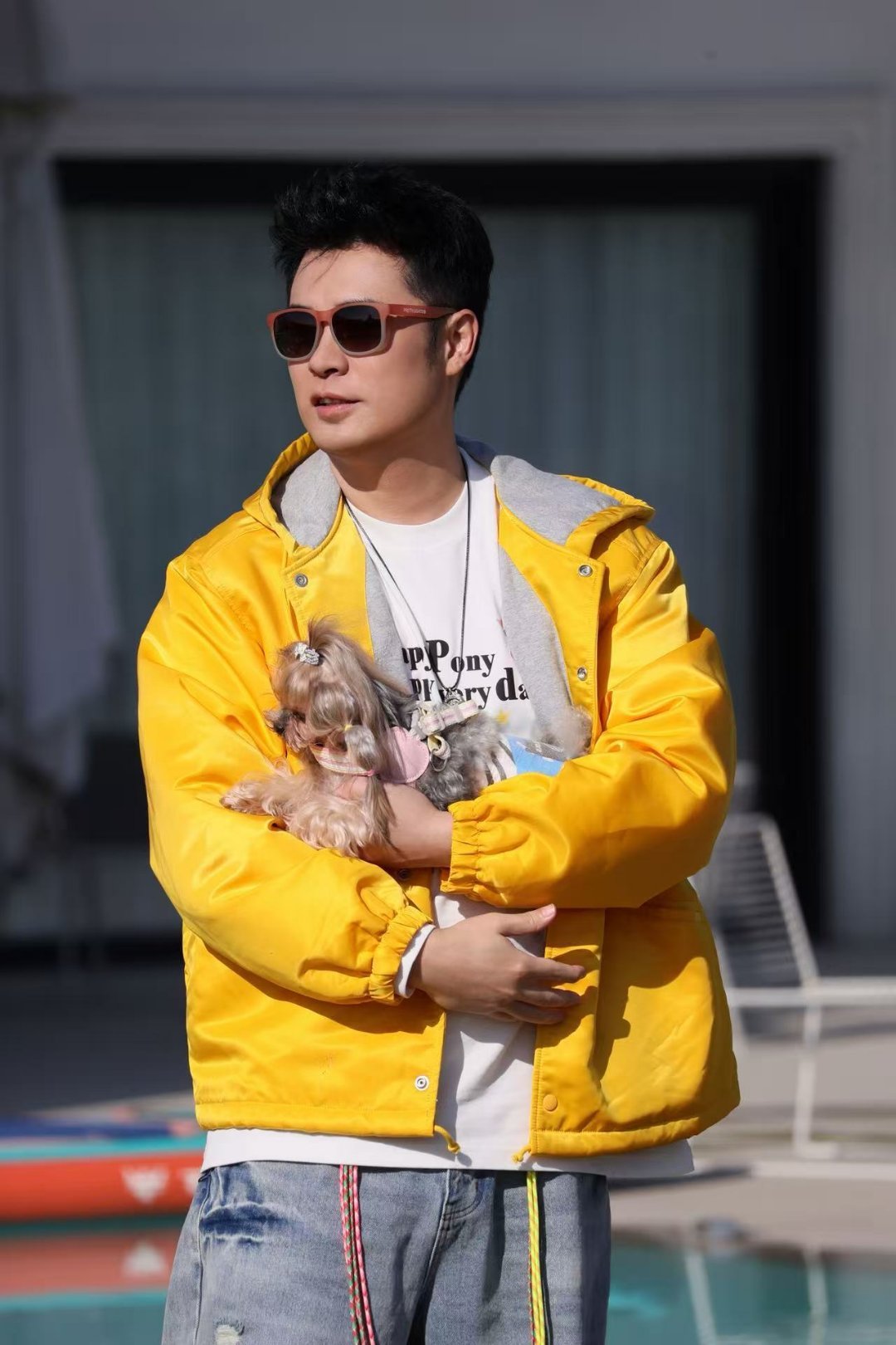 陈赫的狗狗也是大小姐哈哈哈哈哈谁被陈赫家的安古美到啦🥰 路过满满美食摊🍢全程