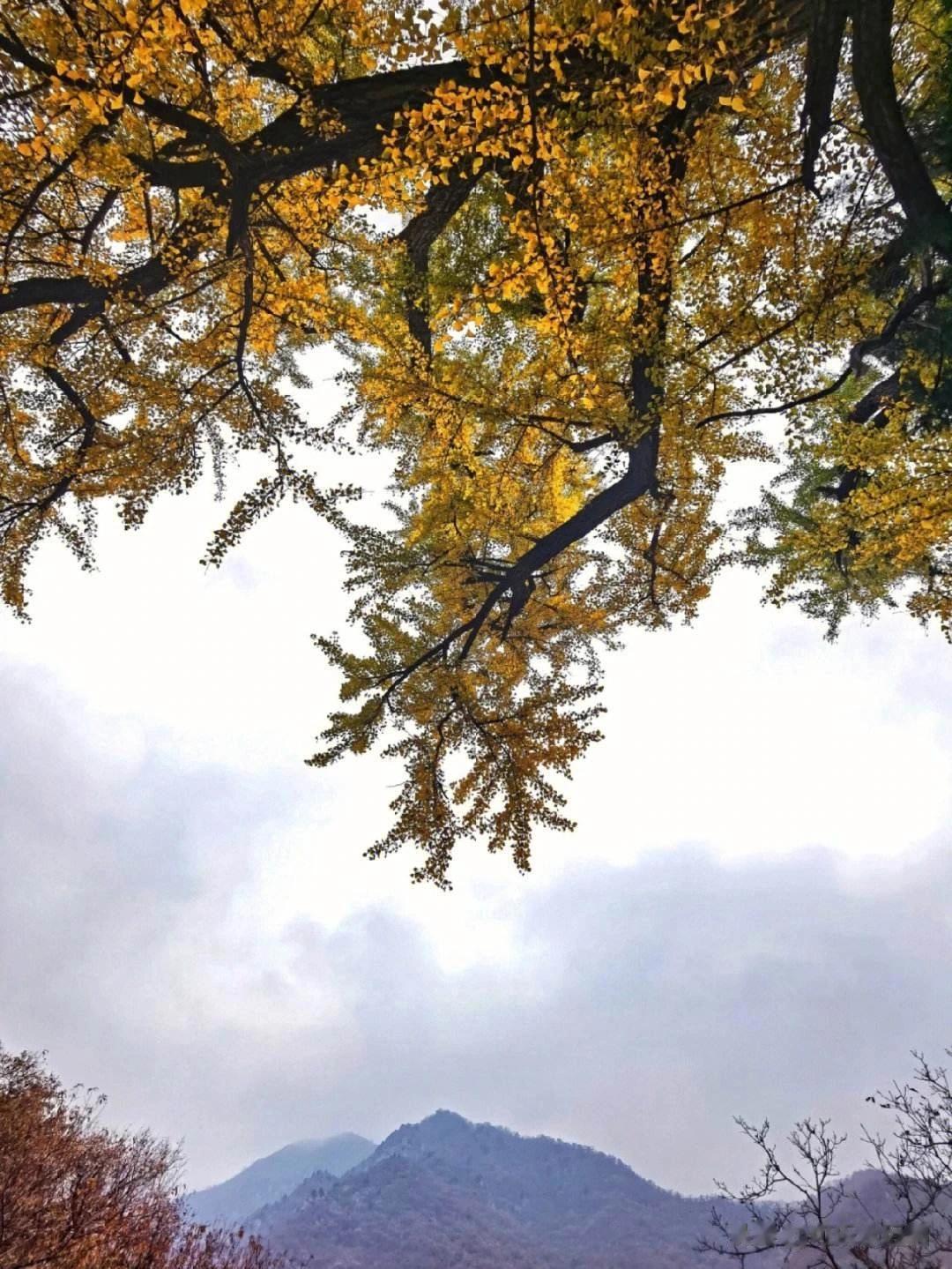 十字寺，坐落在三盆山前，坐北朝南，三面环山，占地面积200平方米，是目前中国发现