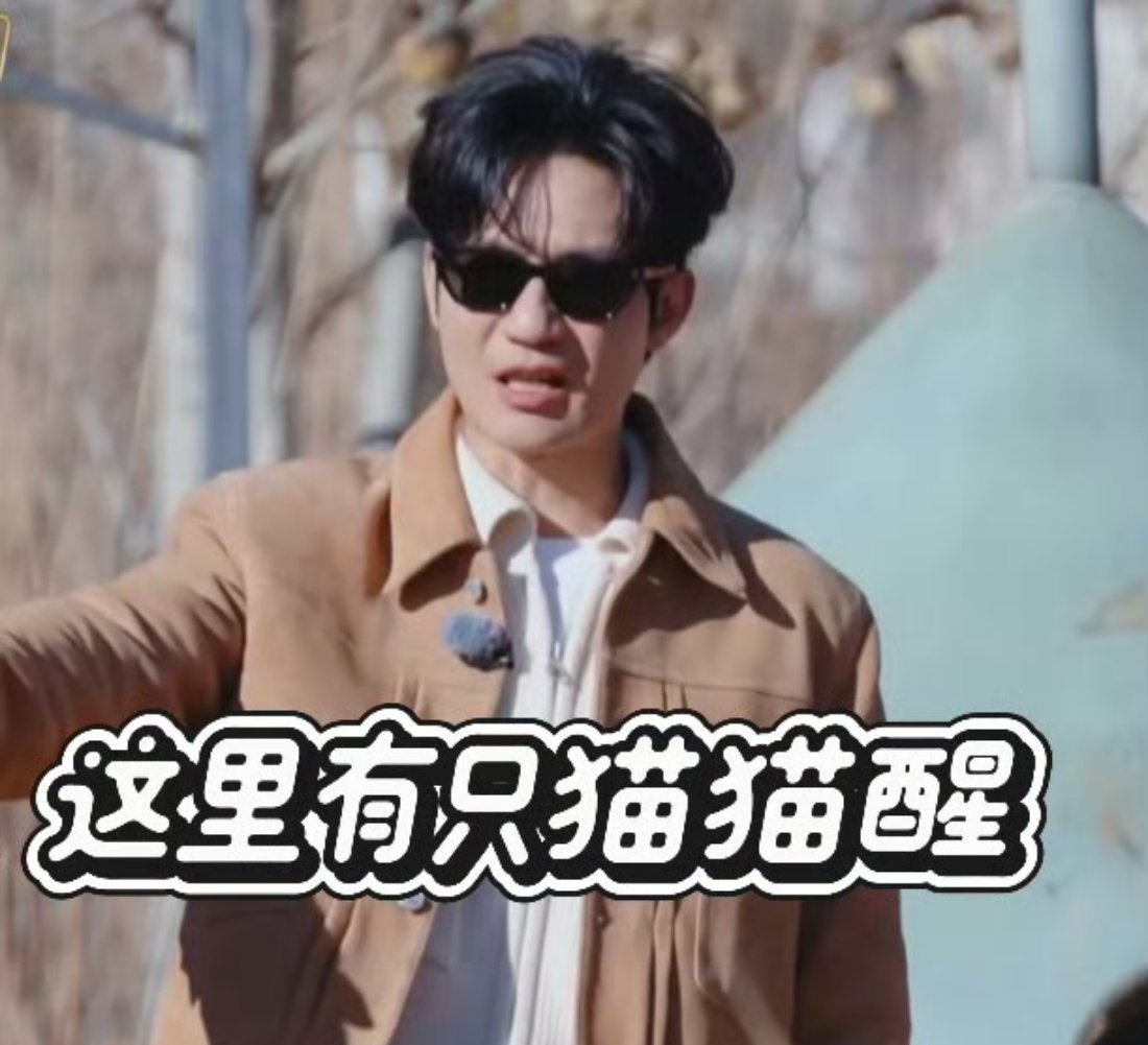 陈楚生介里不许猫睡觉内心os：本喵的午睡权呢5555~ 