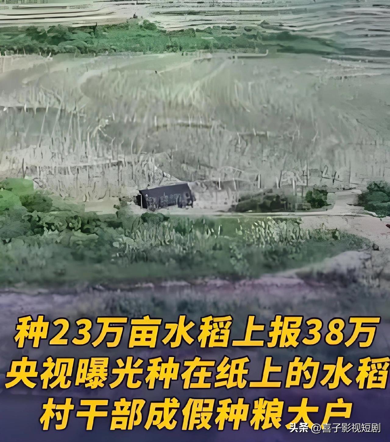 央视曝光湖南江华县“纸上种田”乱象，当地实际水稻种植面积仅23万亩，台账上报却高