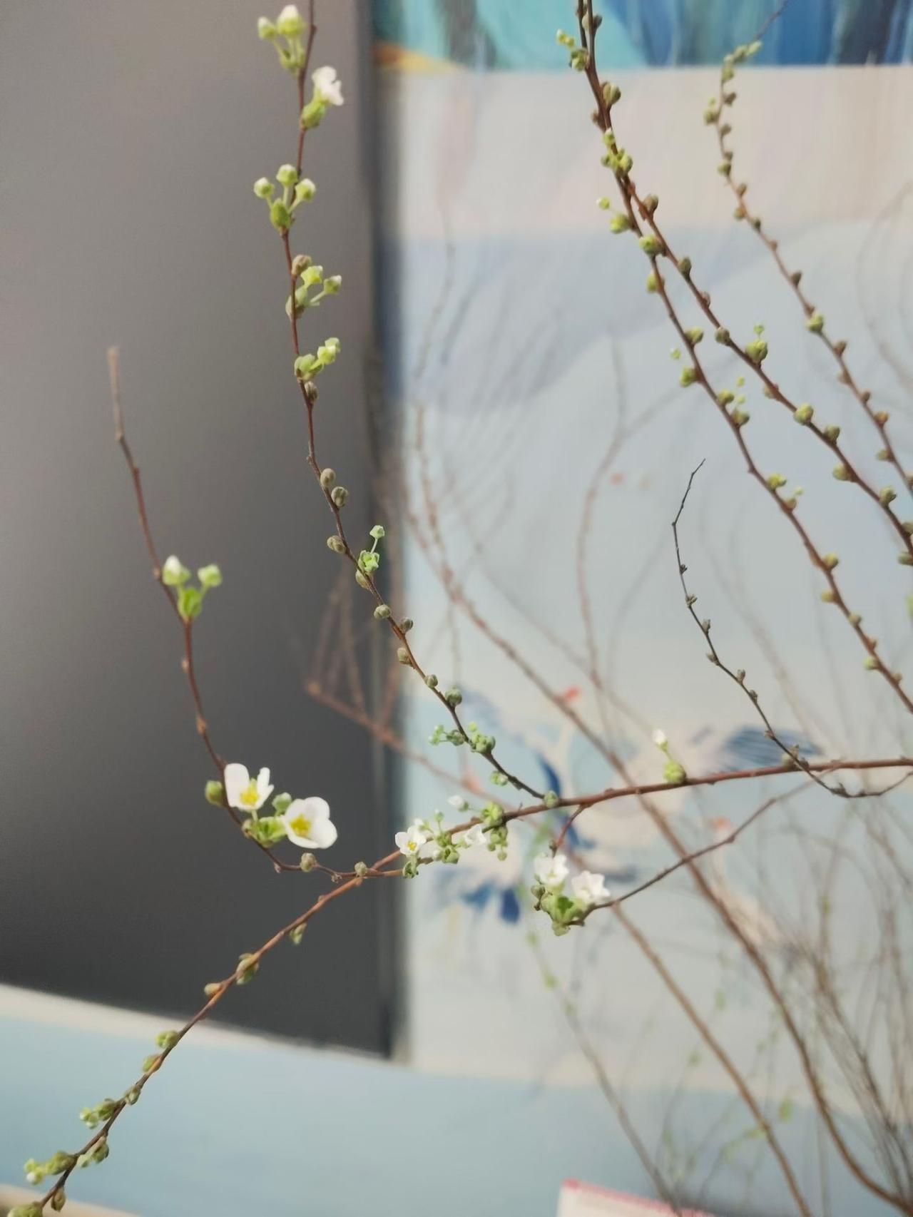 涑水南岸井楼东，平野亭旁桃花红。
​野径无名花无主，一缕清愁伴晚风。
     