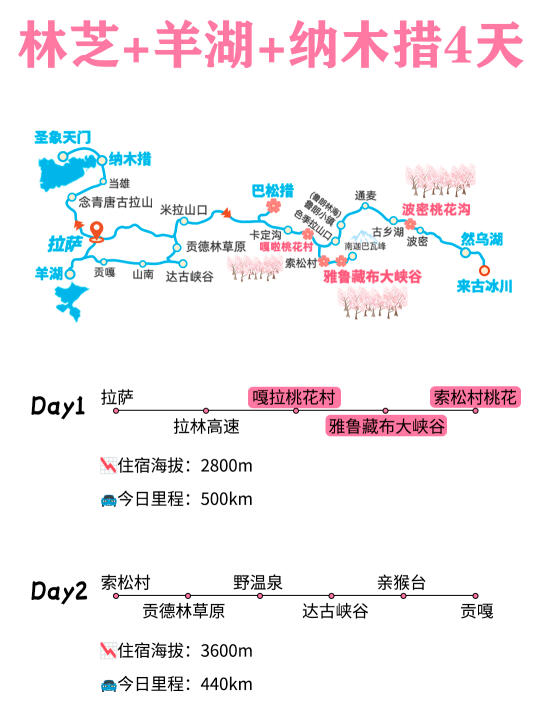 西藏旅游🔥林芝桃花+羊湖+纳木措4天✅