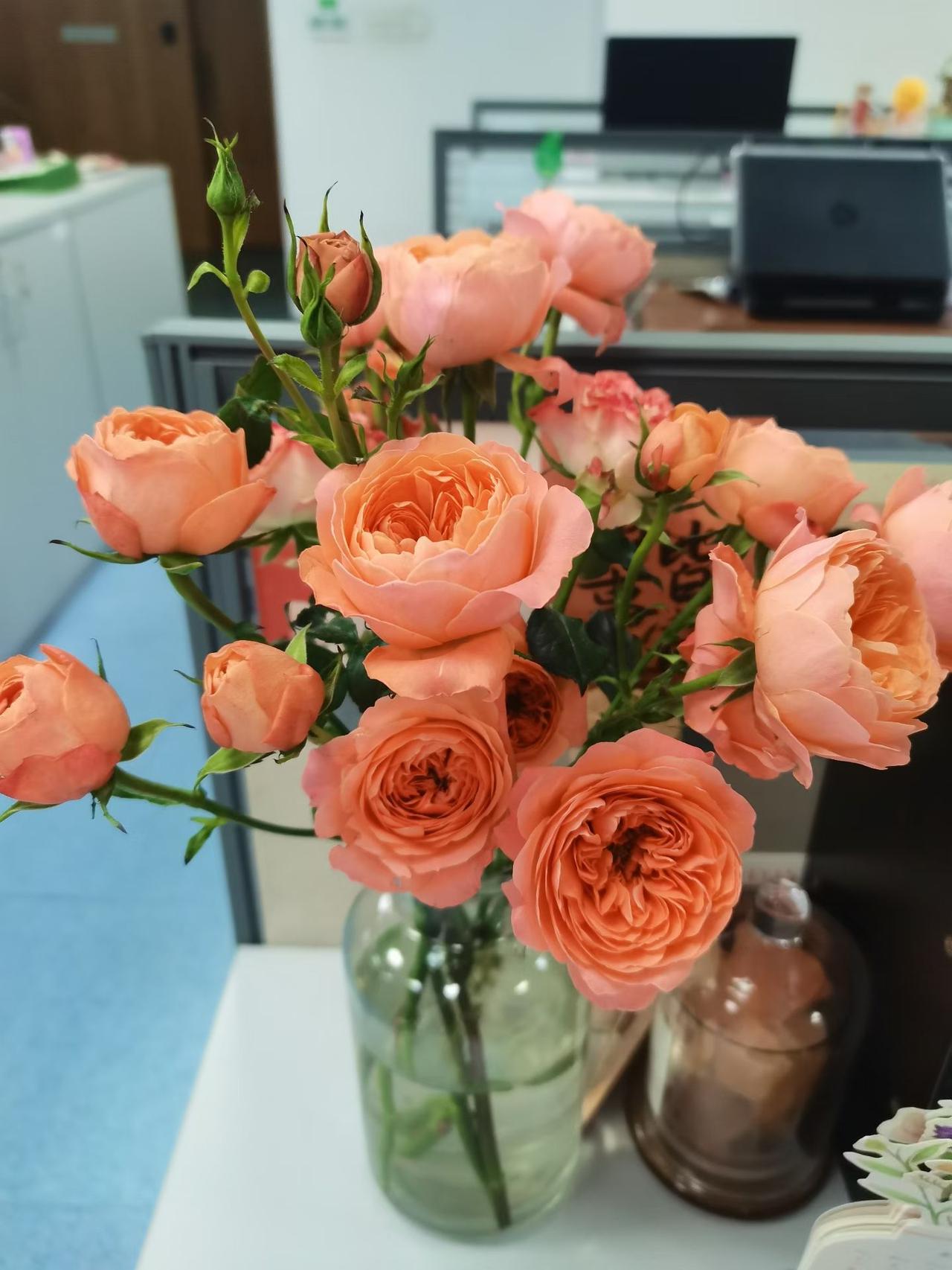 今天老公又和我表白了。
可爱我了。
我说，你这不是废话么？你快60了，你爱别人能