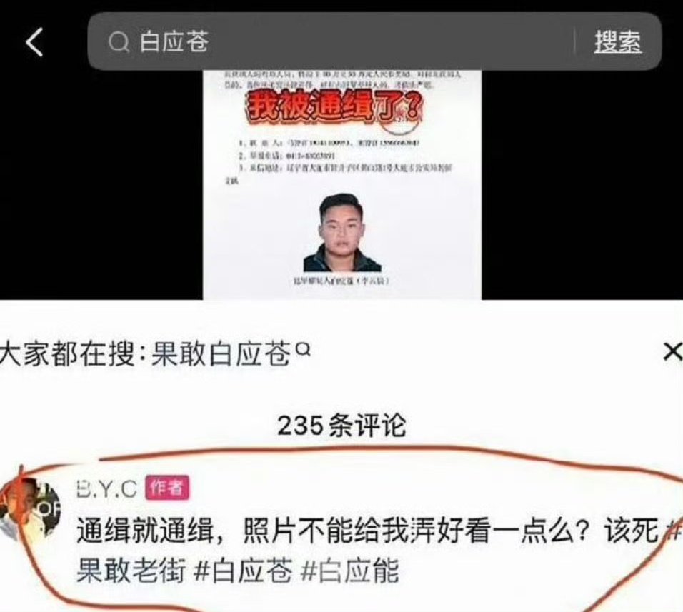 “两年以后，面对死刑判决，白应苍将会回想起他嫌弃通缉令照片不好看的那个并不遥远的