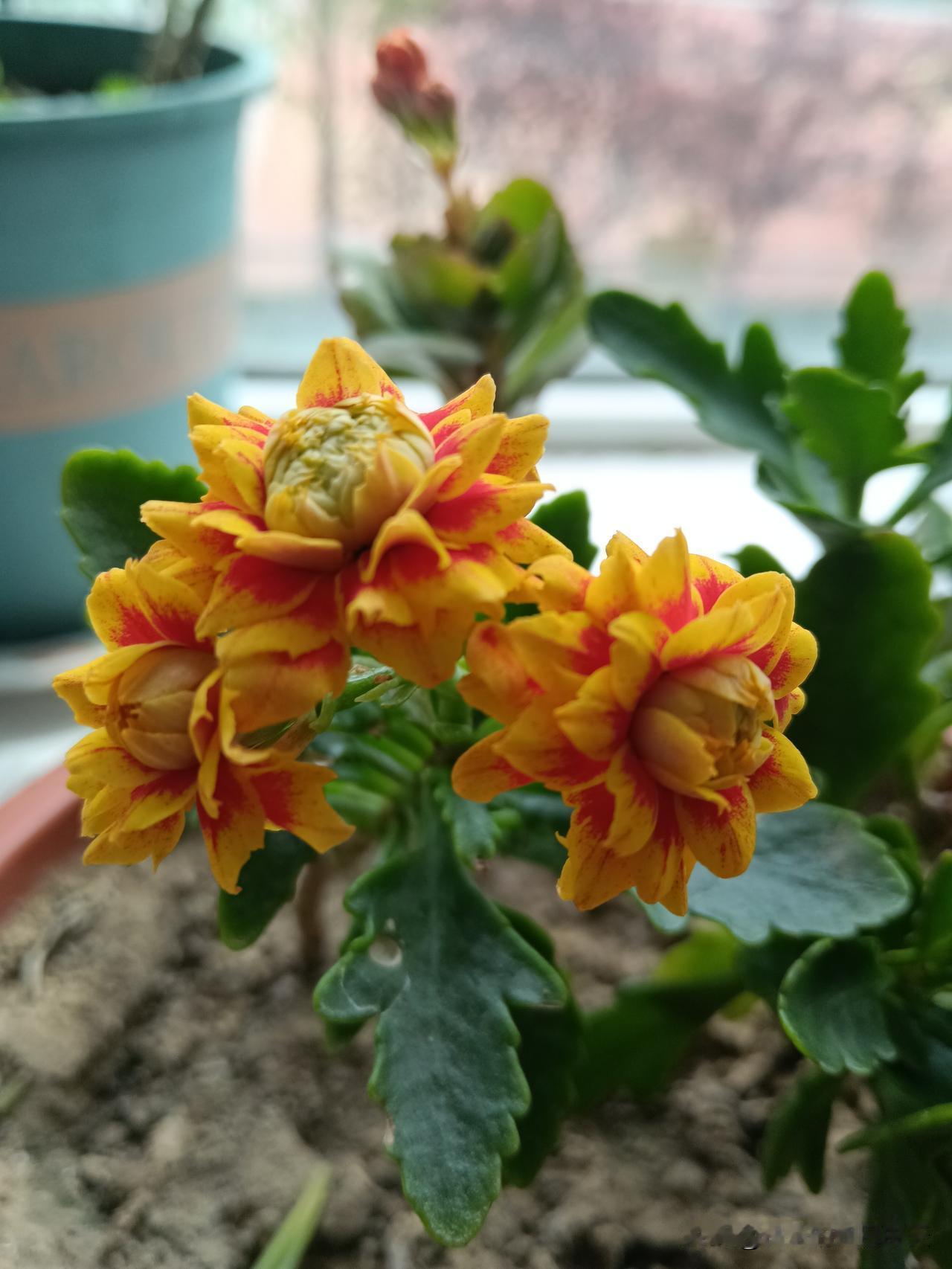 中年女人最悄无声息的“炫富”，你符合几条？
1.身体少受病痛折磨
2.情绪平稳，