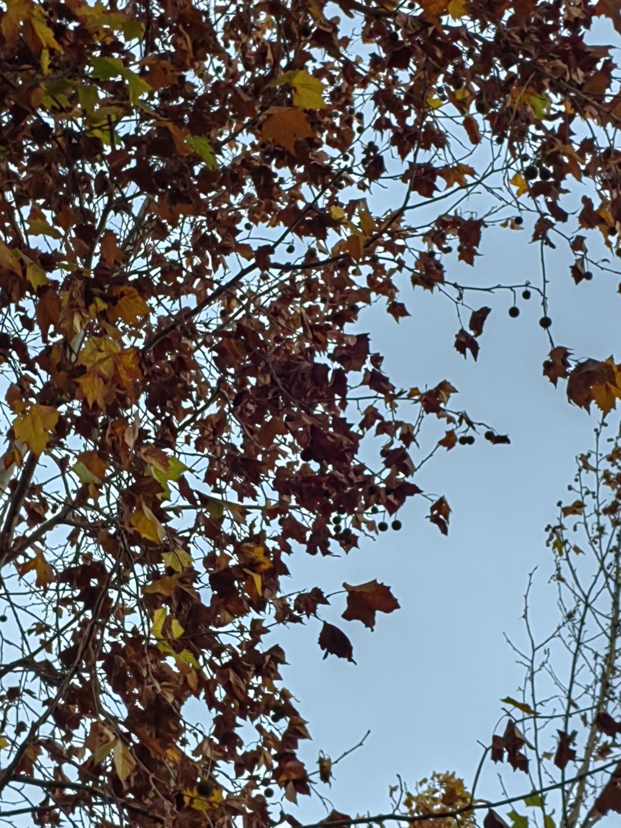 过去谈朋友多是“清”谈，条件好的最多带点零食及小礼物，而且时机不到女孩子是不收的