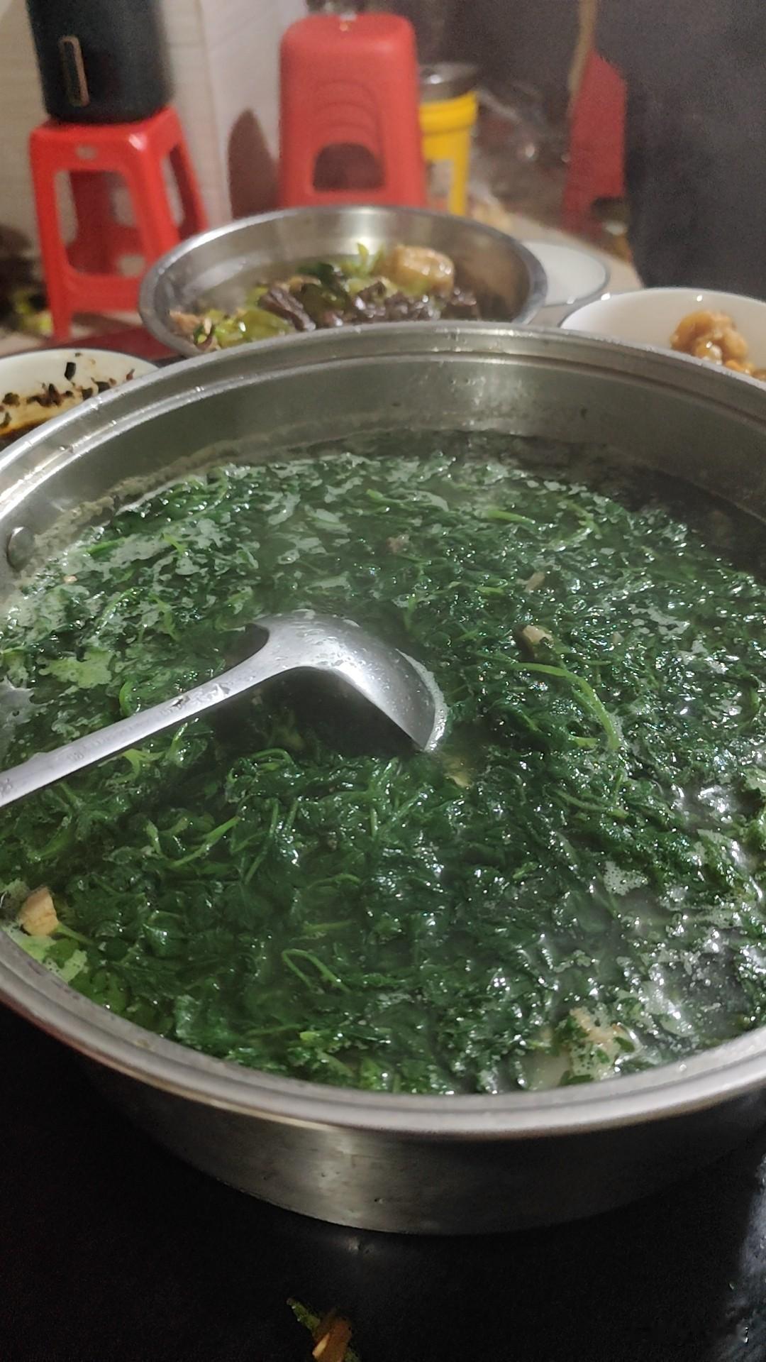 广西才吃的野菜比肉还好吃