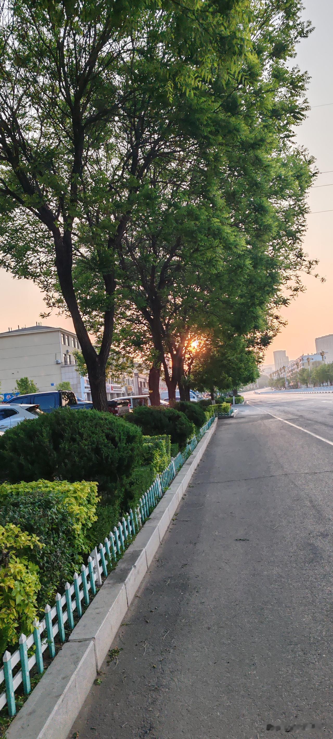 如今的网络通病就是这样，
可能很多发文的网友们都遇到过，
如果看到评论区不友好的