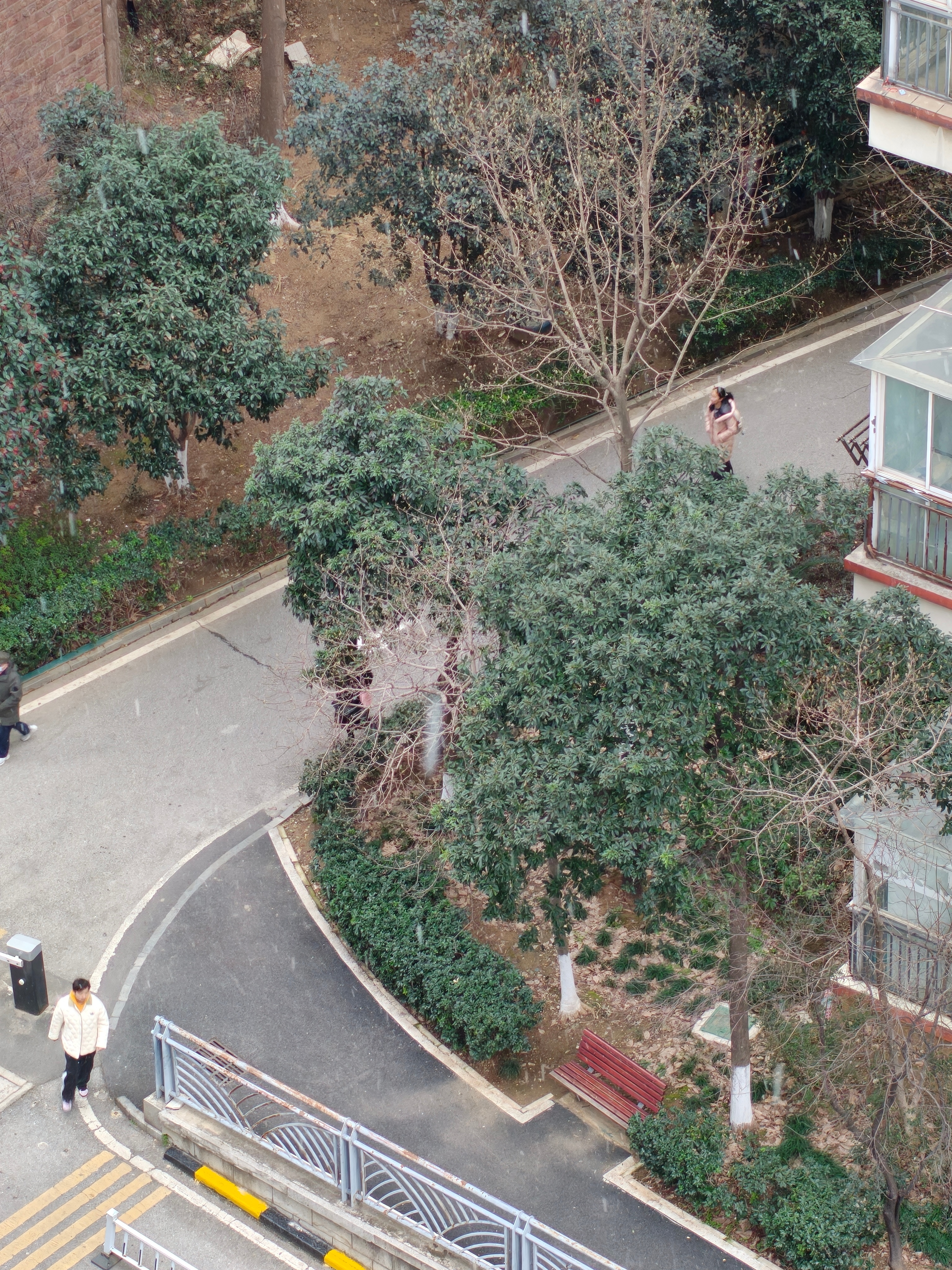 武汉下雪 好突然，武汉又下雪了