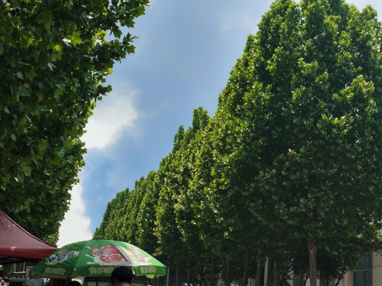 天干物燥  一场大火回到解放前春燥上火 秋气燥 秋冬千燥