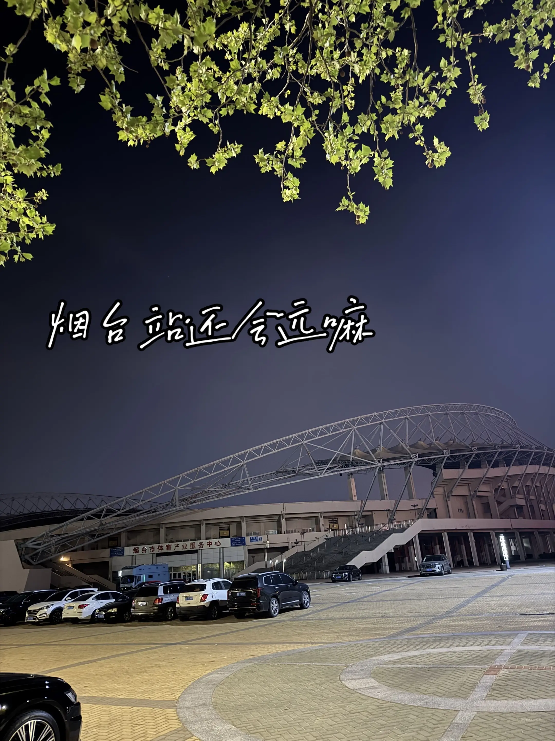 今年会一起看邓紫棋吗。