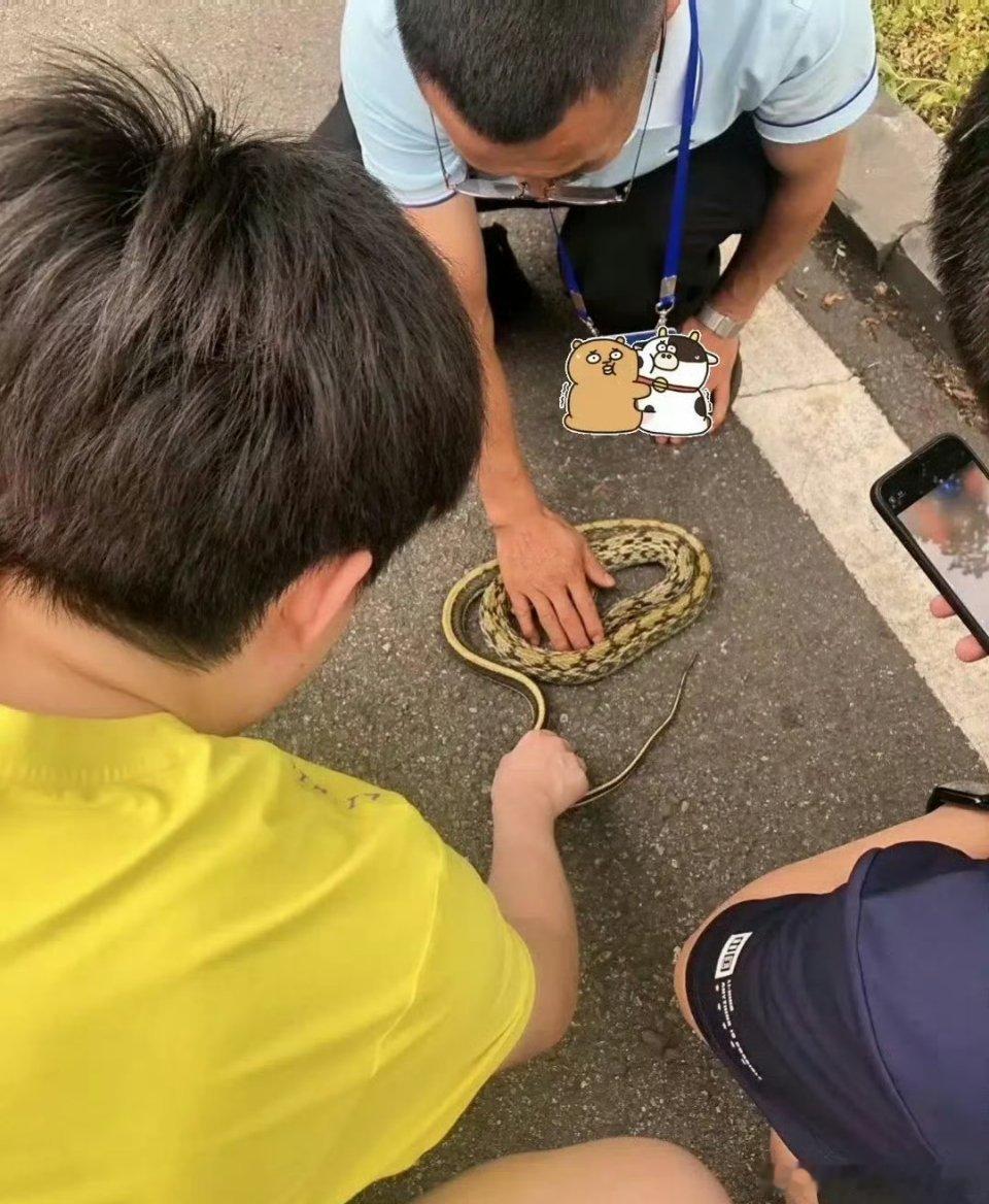 王楚钦在路边摸蛇这蛇有毒的吗？王楚钦真的好大胆，好多人看到蛇都怕。 王楚钦 ​​