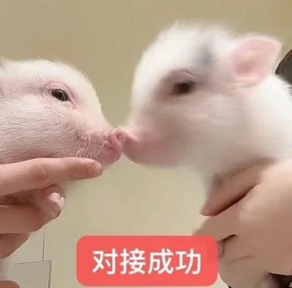 秦老太这双垫底👟不行啊 恋与深空第二个秒楠来了 ​​​