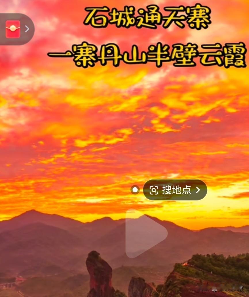 春日生活打卡季