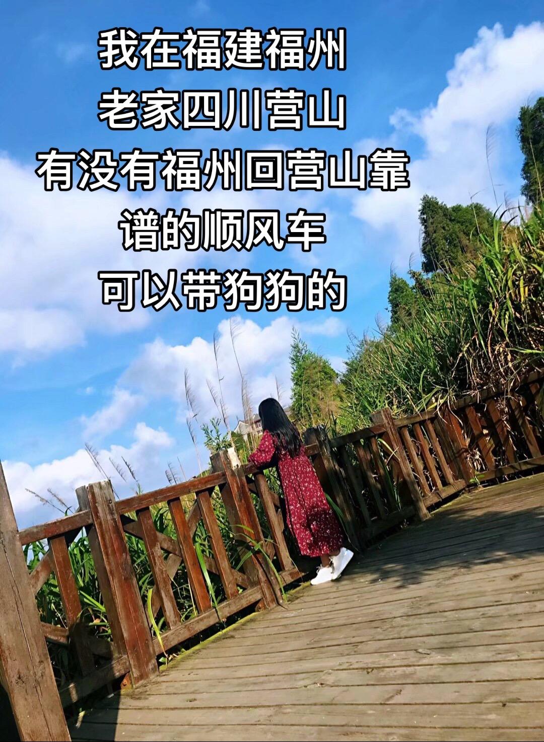 带不了，我一个人自己开车也不行，晚上我夜盲开不了车，我想坐可以带狗狗一起的顺风车