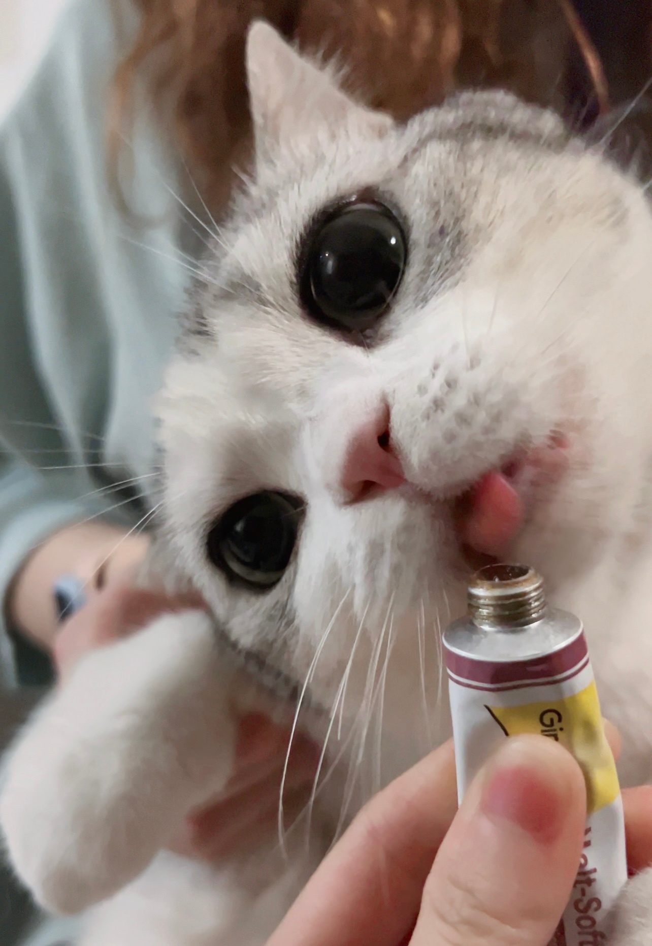 歪着头会吃得更香吗？ ​​​