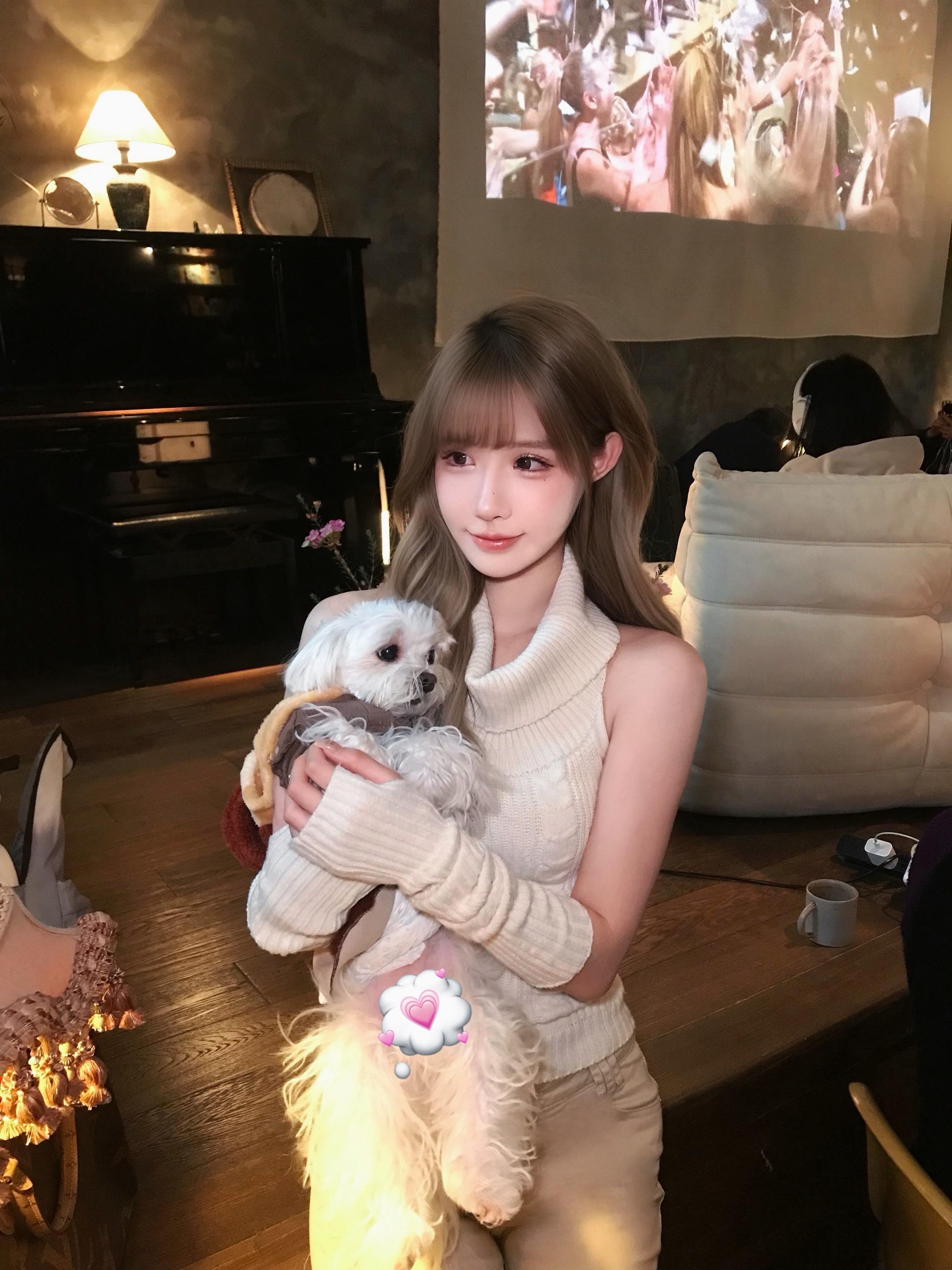 突击检查发一张呆滞小狗的照片在评论区里。