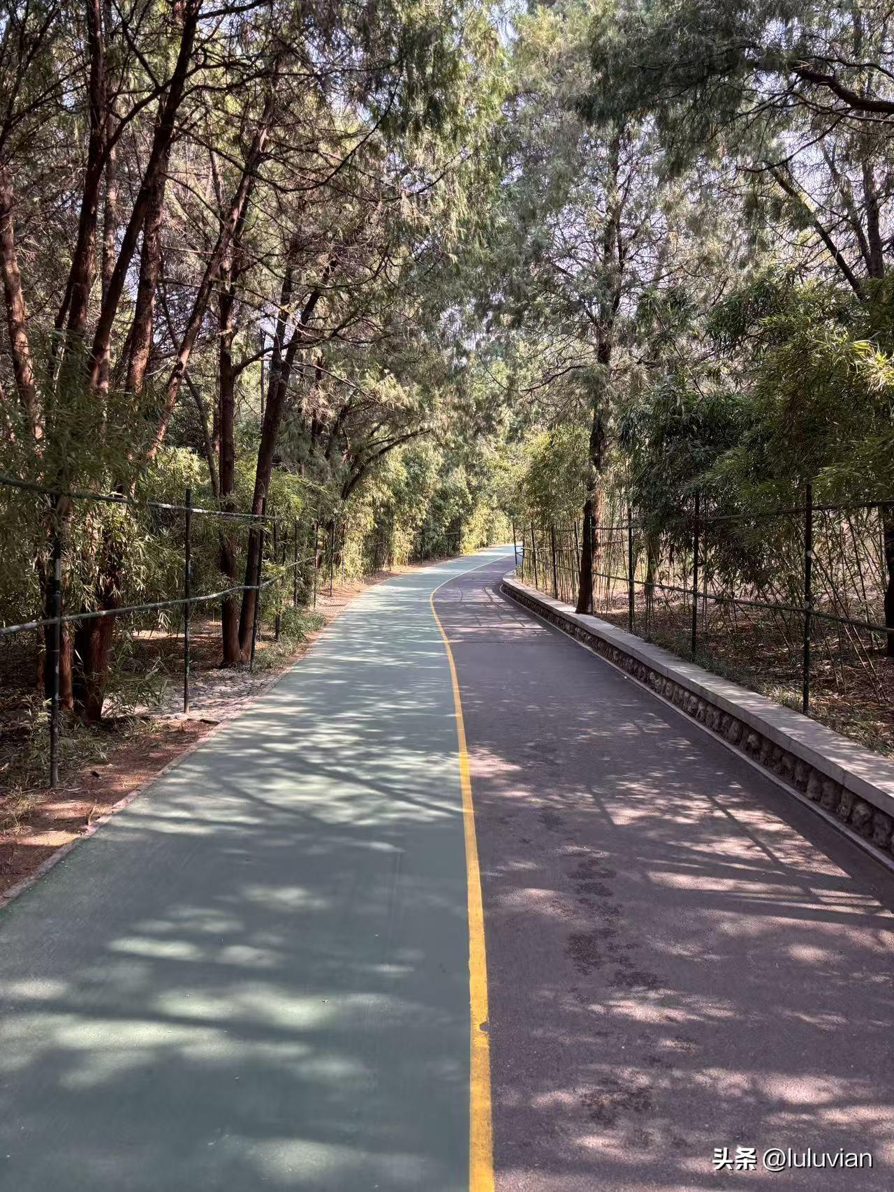 坐标济南历下，感觉我家配不上这好学区。
学校老师也不错，娃自觉性也可以，错的是家