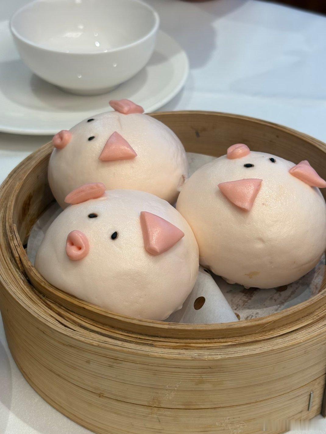 你是小猪吗[偷笑] ​​​