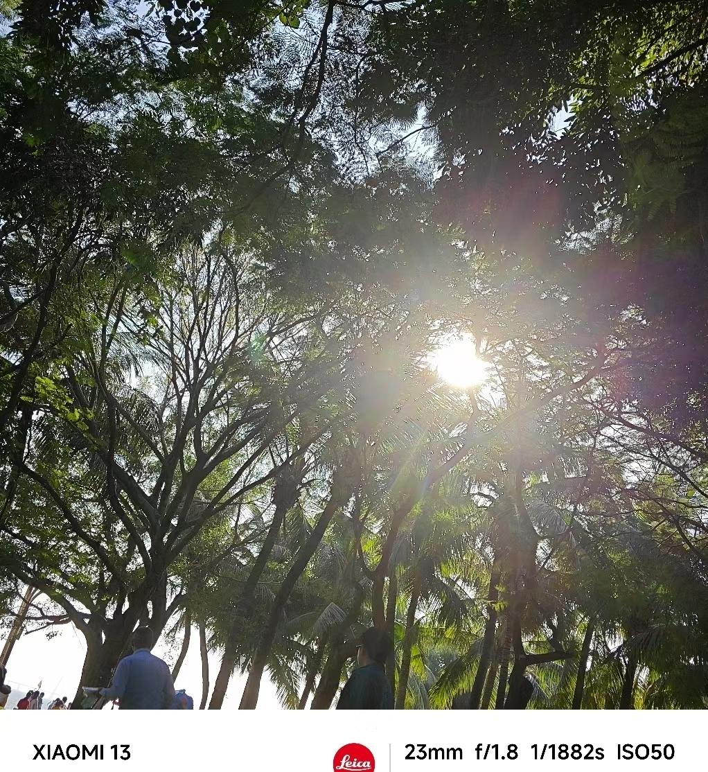 儿子外地安家有自身生活，不一定急需这笔钱，而且儿子不愿意把老人接到自家尽孝。是女