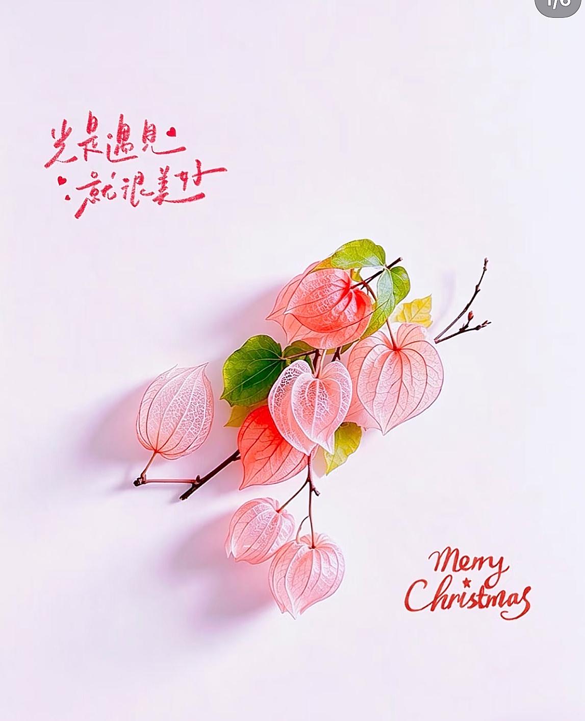 性学专家：
“我要告诉你两句话：
第一句：只有不出轨的女人，没有只出轨一次的女人