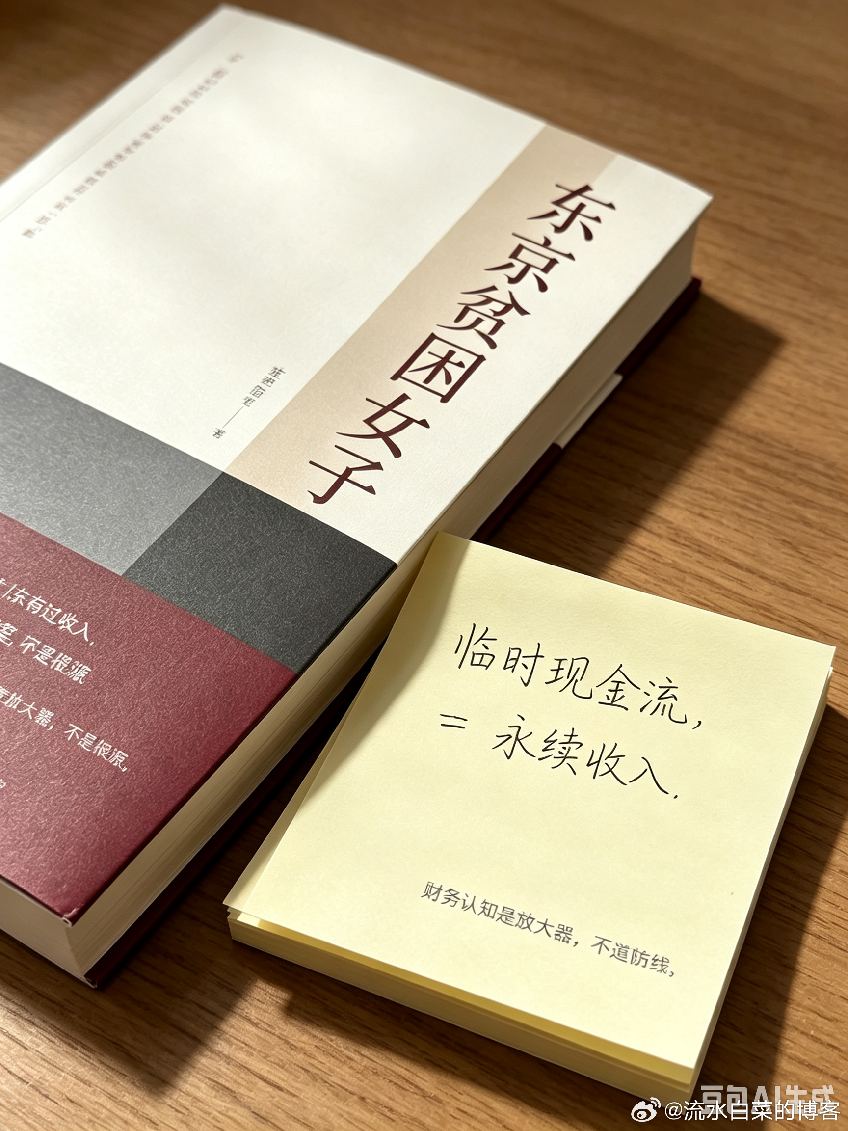 今天翻了一本书（东京评论女子），和豆包讨论了一下，它帮我总结我的观点并生成图：《
